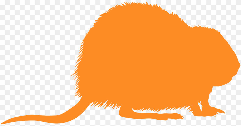 Muskrat Silhouette, Animal, Mammal, Rodent, Fish Png