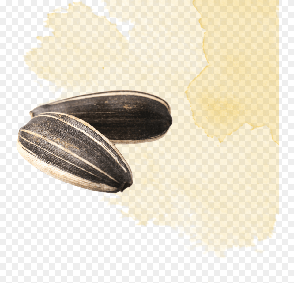 Mussel, Food, Produce, Grain, Seed Free Transparent Png