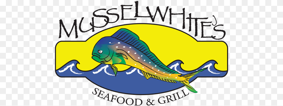 Musselwhites Seafood And Grill, Animal, Sea Life, Fish, Aquatic Free Png