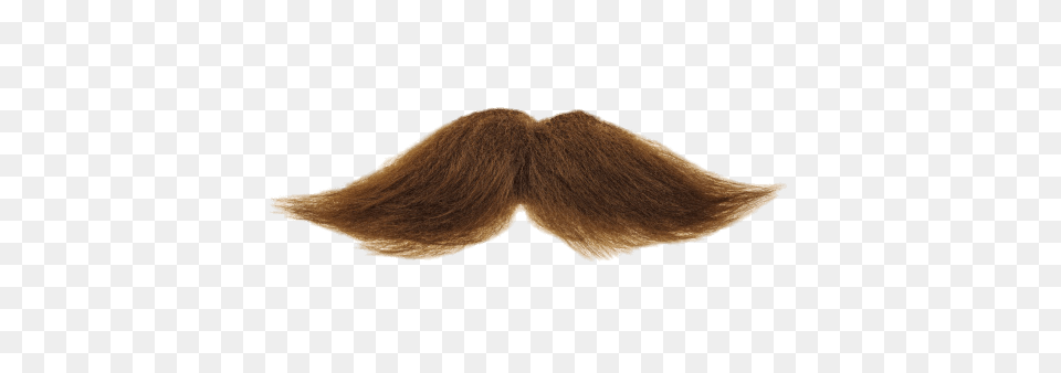 Mustache Brown, Face, Head, Person Png