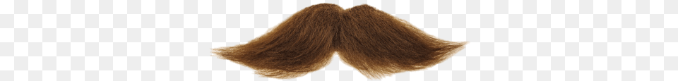 Mustache Brown Objects, Face, Head, Person, Animal Png