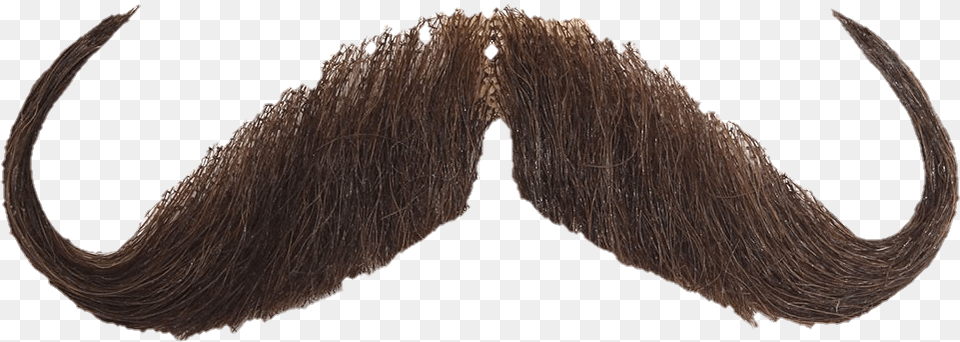 Mustache Horn, Face, Head, Person, Animal Free Transparent Png