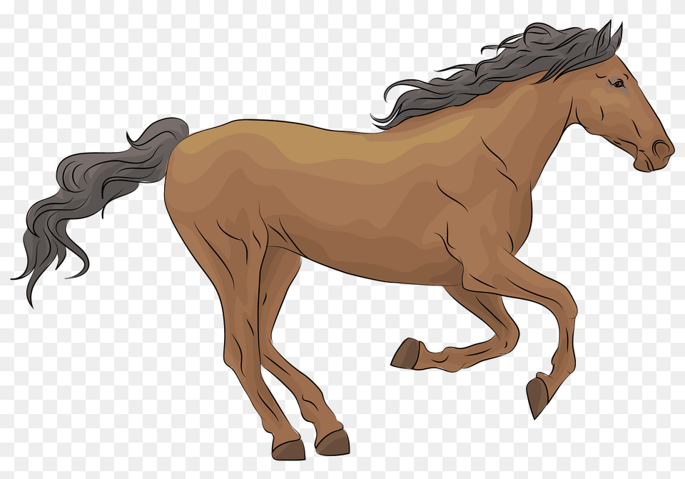 Mustang Clipart, Animal, Colt Horse, Horse, Mammal Png
