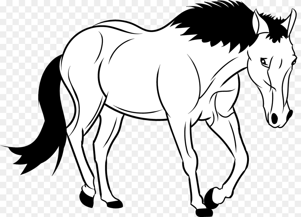 Mustang Clipart, Animal, Mammal, Horse, Colt Horse Free Transparent Png