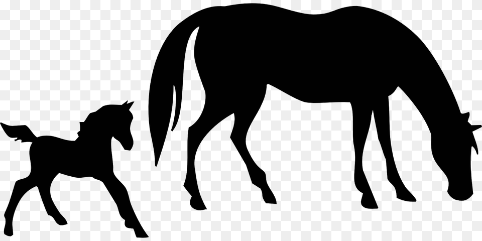 Mustang Clipart Colt Horse Mustang Colt Horse, Silhouette, Animal, Mammal Png