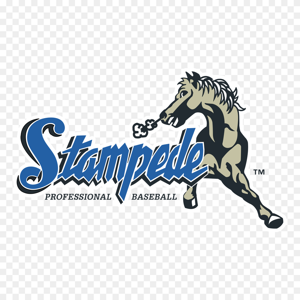 Mustang Clipart Horse Stampede, Animal, Mammal, Baby, Person Png Image