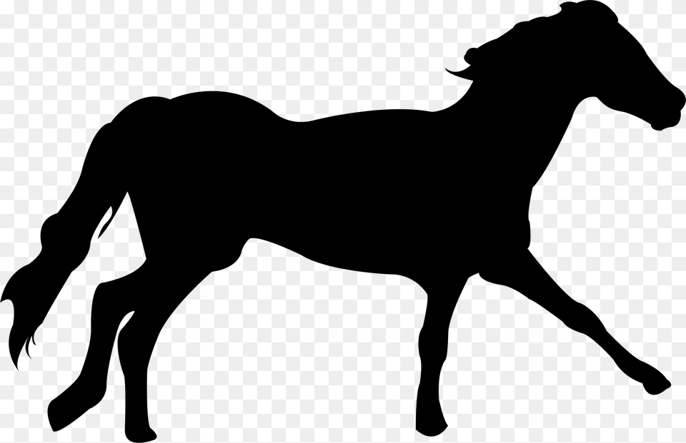 Mustang Clydesdale Horse Arabian Horse Dartmoor Pony Clydesdale, Cross, Symbol, Firearm, Gun Free Transparent Png