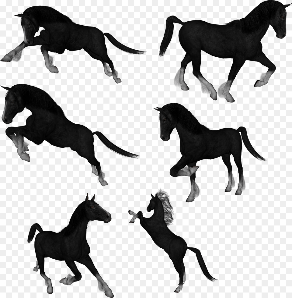 Mustang Drawing Akhal Teke Clip Art Caballo De El Jinete Sin Cabeza Png Image