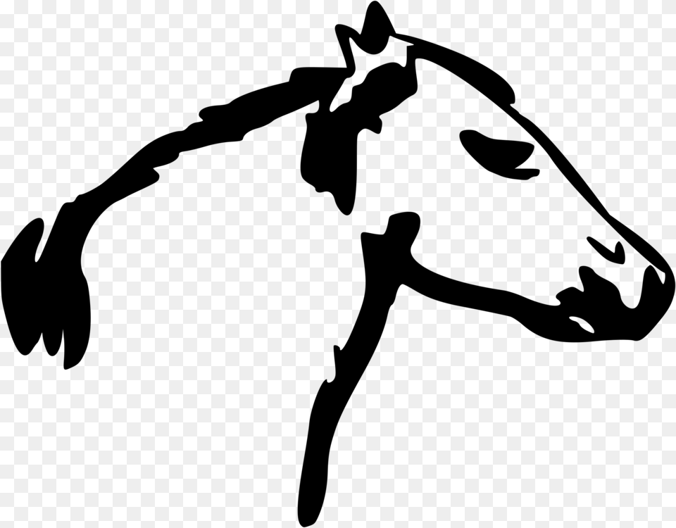 Mustang Equestrian Horse Head Mask Jumping Gray Free Png Download