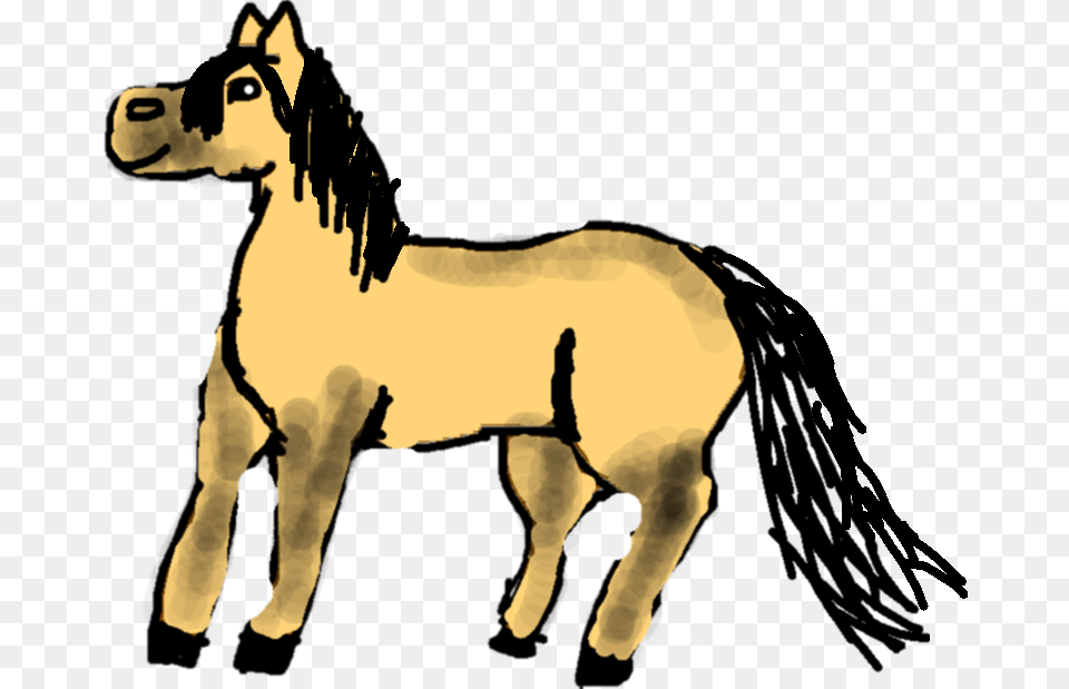 Mustang Horse, Animal, Colt Horse, Mammal, Baby Png Image