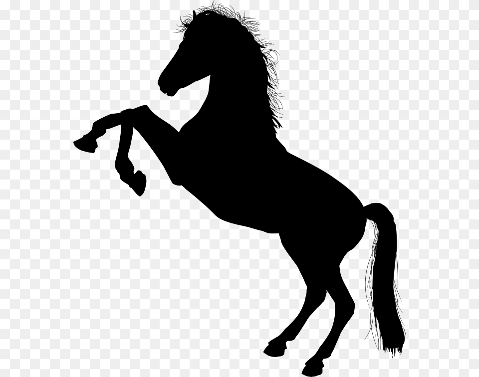 Mustang Horse, Gray Png