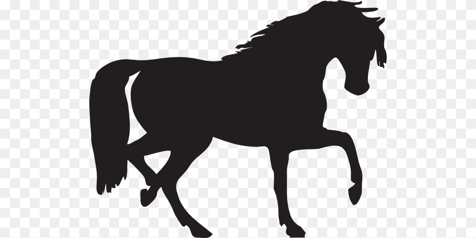 Mustang Horse Clip Art, Silhouette, Animal, Mammal, Cattle Free Png Download