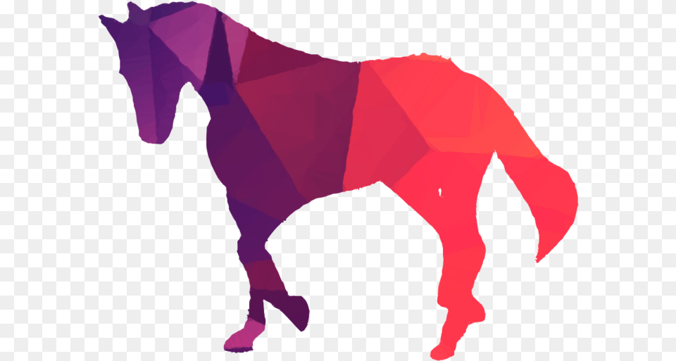 Mustang Horse Clipart Mustang Horse Foal Horse Riding Vector, Person, Animal, Mammal, Art Png Image