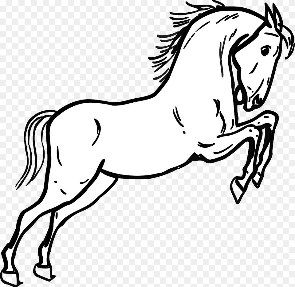 Mustang Horse Coloring Page, Animal, Mammal, Art, Drawing Free Transparent Png