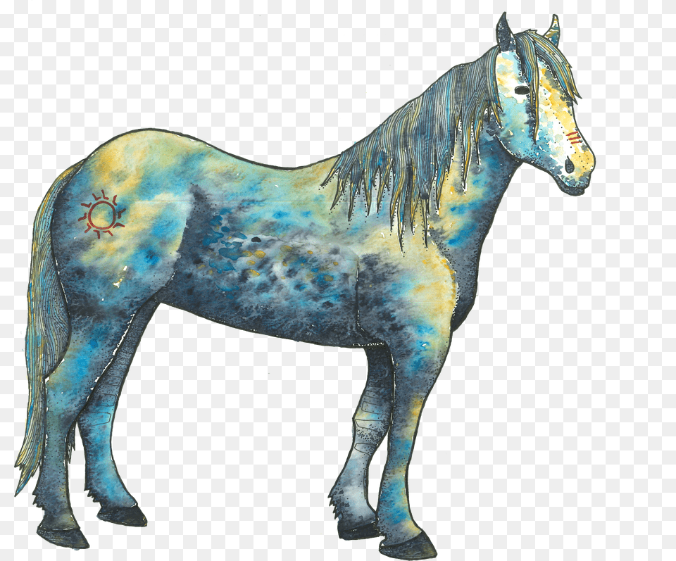 Mustang Horse Foal Free Transparent Png