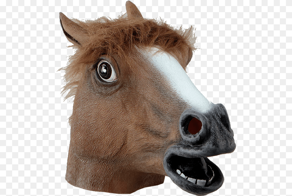 Mustang Horse Horse Head Mask, Snout, Animal, Mammal, Colt Horse Free Transparent Png