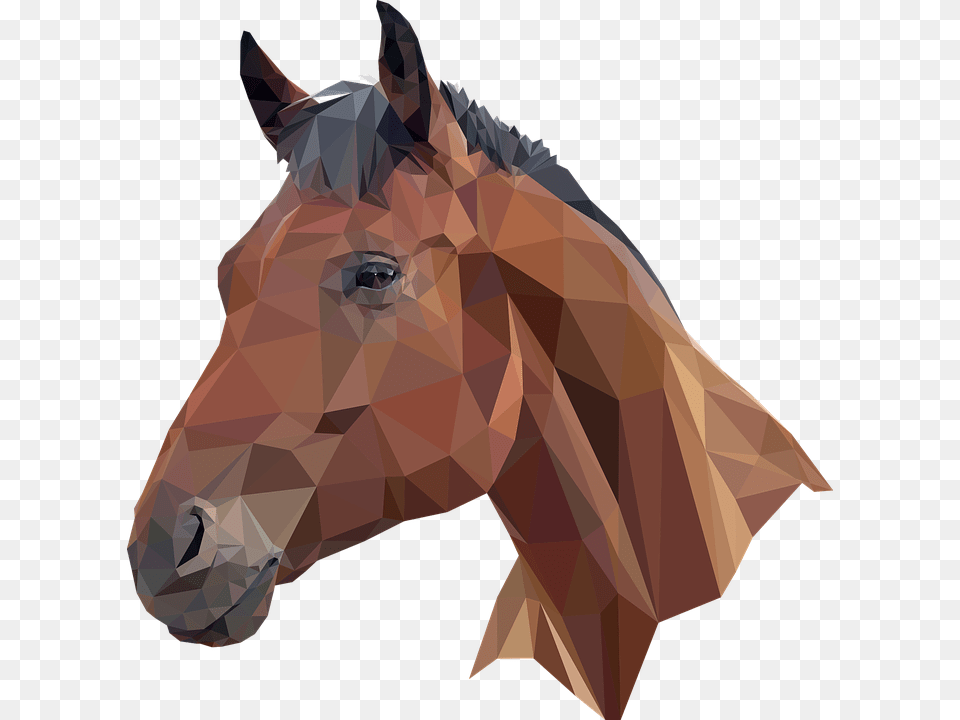 Mustang Horse Low Poly Horse Head, Adult, Male, Man, Person Png