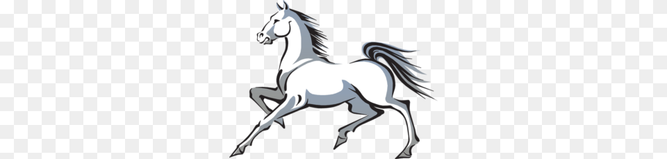 Mustang Horse Transparent, Animal, Mammal, Colt Horse, Person Png