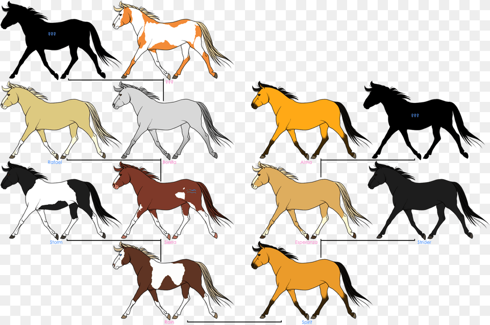 Mustang Horses Family Tree Spirit Horse Download Spirit Horse Drawing, Animal, Colt Horse, Mammal, Foal Free Png