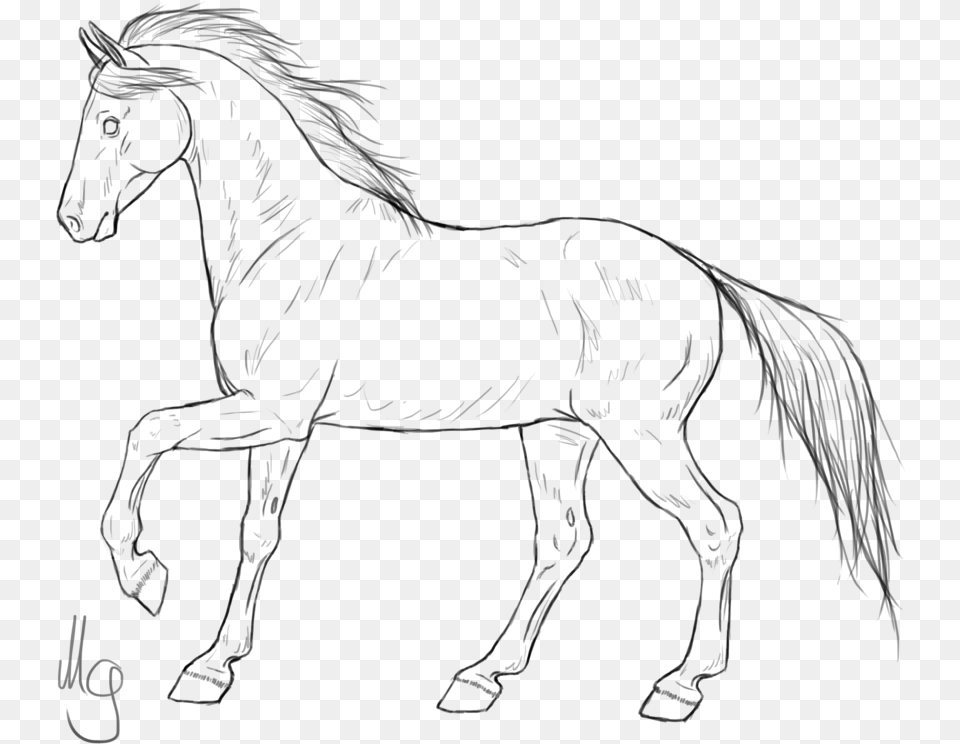 Mustang Horses Pony Line Art American Quarter Horse Horse Line Art, Gray Free Png