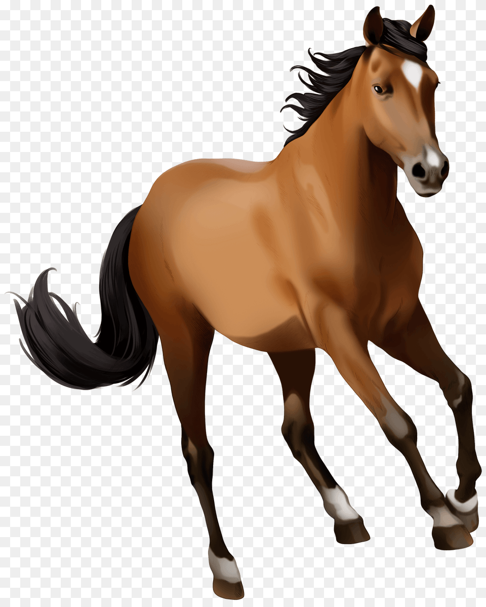 Mustang Mare Clipart, Animal, Colt Horse, Horse, Mammal Png Image
