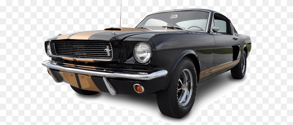 Mustang Shelby, Car, Coupe, Sports Car, Transportation Free Png Download
