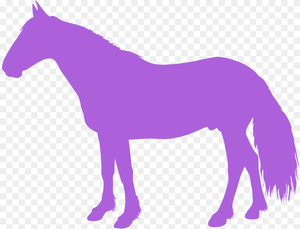 Mustang Silhouette, Animal, Mammal, Horse, Colt Horse Free Transparent Png