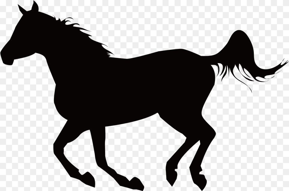 Mustang Stallion Equestrianism Clip Art Horse, Animal, Colt Horse, Mammal, Person Png