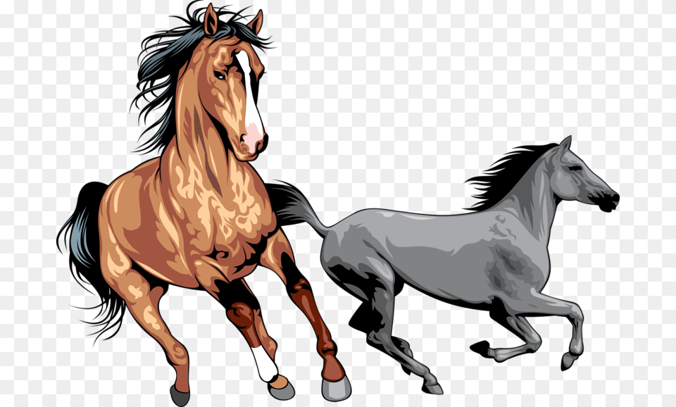Mustang Wild Horse Clip Art Running Horse, Animal, Colt Horse, Mammal, Stallion Free Transparent Png