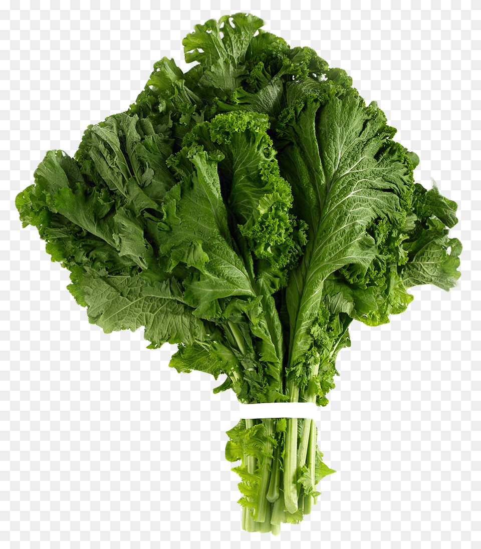 Mustard Greens, Food, Kale, Leafy Green Vegetable, Plant Png Image