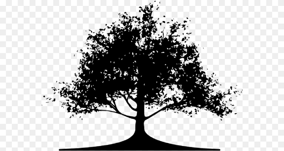 Mustard Tree, Gray Free Png Download