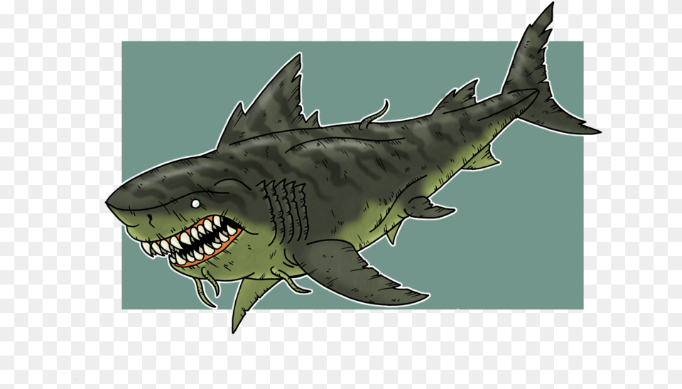 Mutant Shark By Mcslackerton Freeuse Mutant Shark, Animal, Sea Life, Fish Png