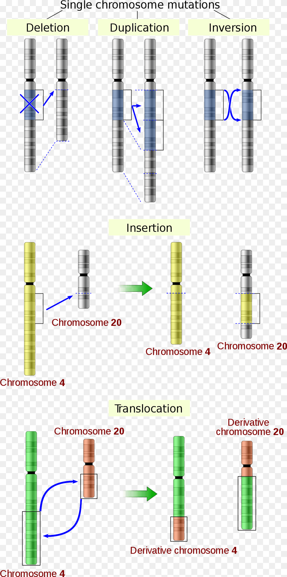 Mutation Structure Free Png