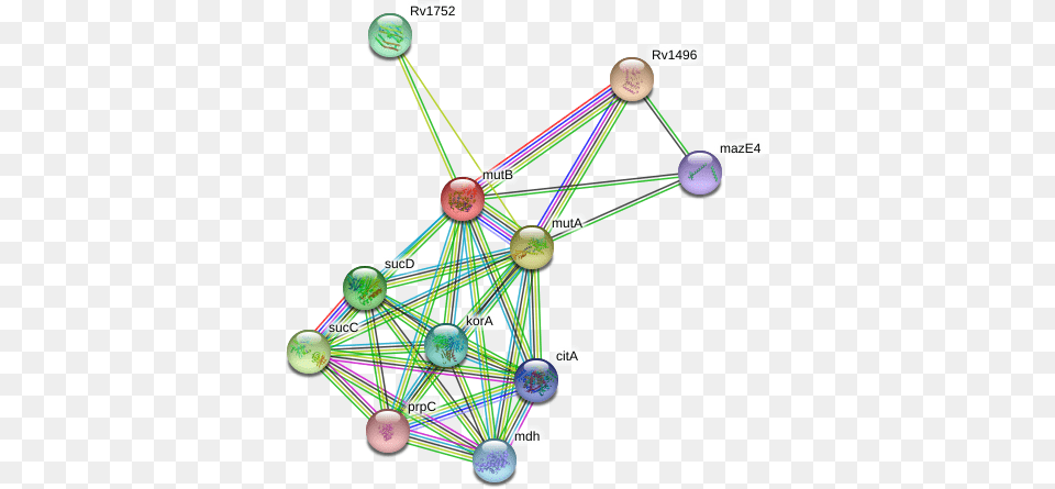 Mutb Protein Circle, Network Free Png