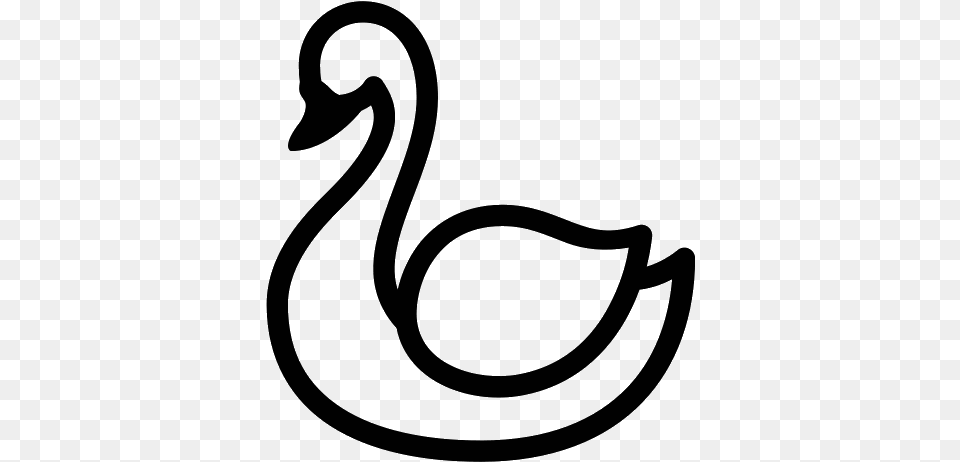 Mute Swan Black Swan Bird Clip Art Goose Source Swan Icon, Gray Png Image