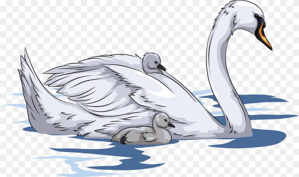 Mute Swan With Cygnets Clipart, Animal, Bird Free Png Download