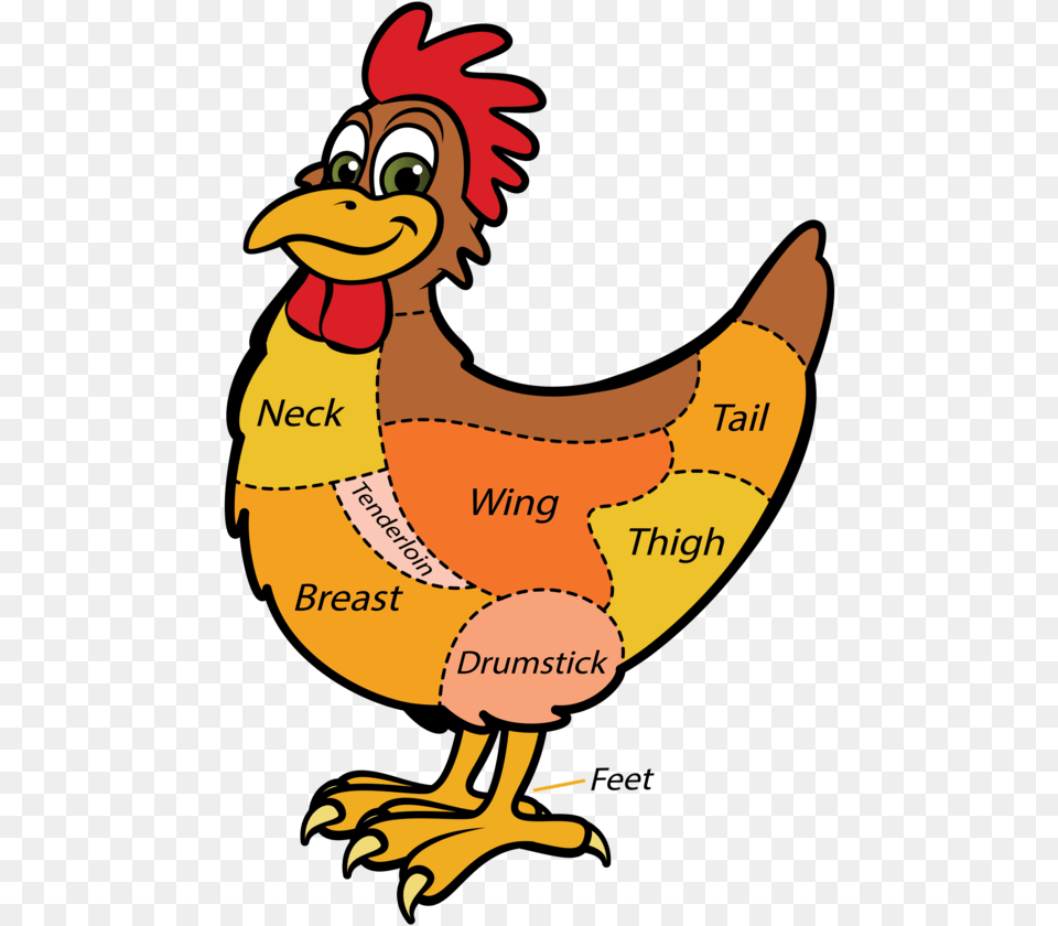 Mutton Clipart Chicken Wing Different Kind Clipart, Animal, Hen, Fowl, Bird Free Png Download