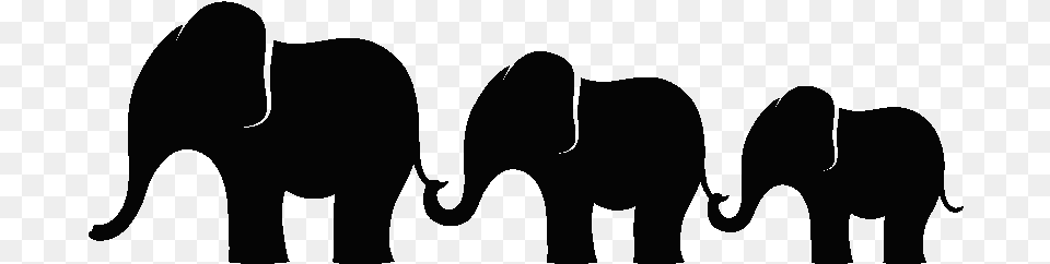 Muursticker Drie Olifanten Op Een Rij Fila De Elefantes, Animal, Elephant, Mammal, Silhouette Free Transparent Png