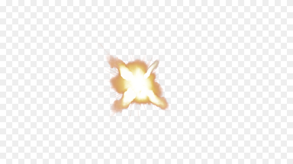 Muzzle Flash Front, Fire, Flame, Flare, Light Free Png