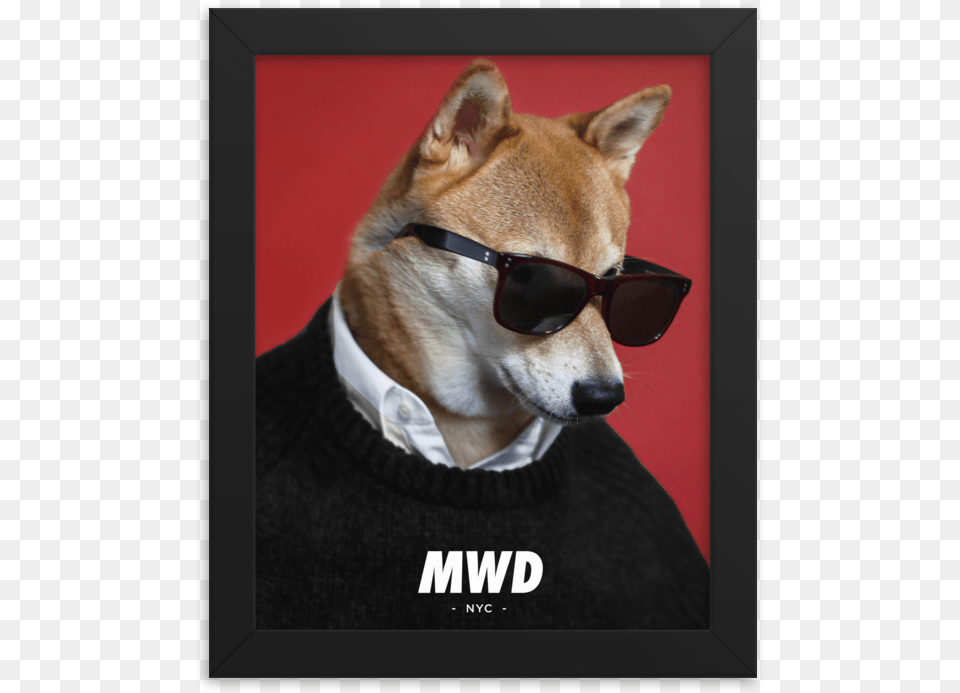 Mwd Side Swag Poster Siba Inu V Ochkah, Accessories, Sunglasses, Glasses, Animal Free Transparent Png