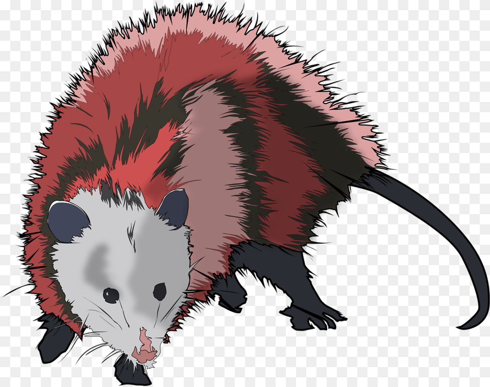 My Artwork Communist Virginian Picture Transparent Possum Vector, Animal, Mammal, Wildlife, Person Png