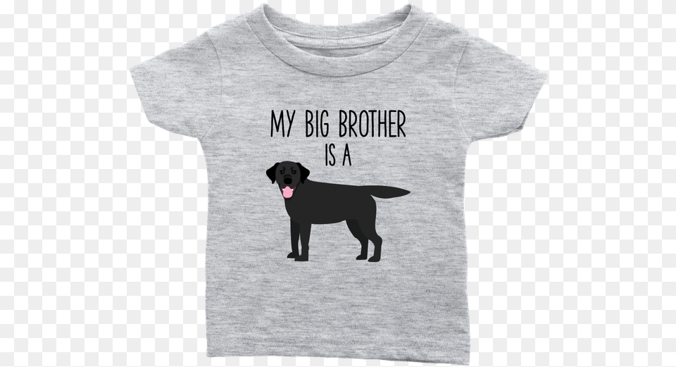 My Big Brother Is A Black Labrador Retriever Baby T T Shirt, Clothing, T-shirt, Animal, Canine Png
