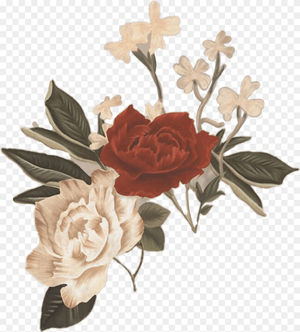 My Blood Shawn Mendes Flower Hd Download Shawn Mendes Stickers, Rose, Plant, Flower Arrangement, Flower Bouquet Png