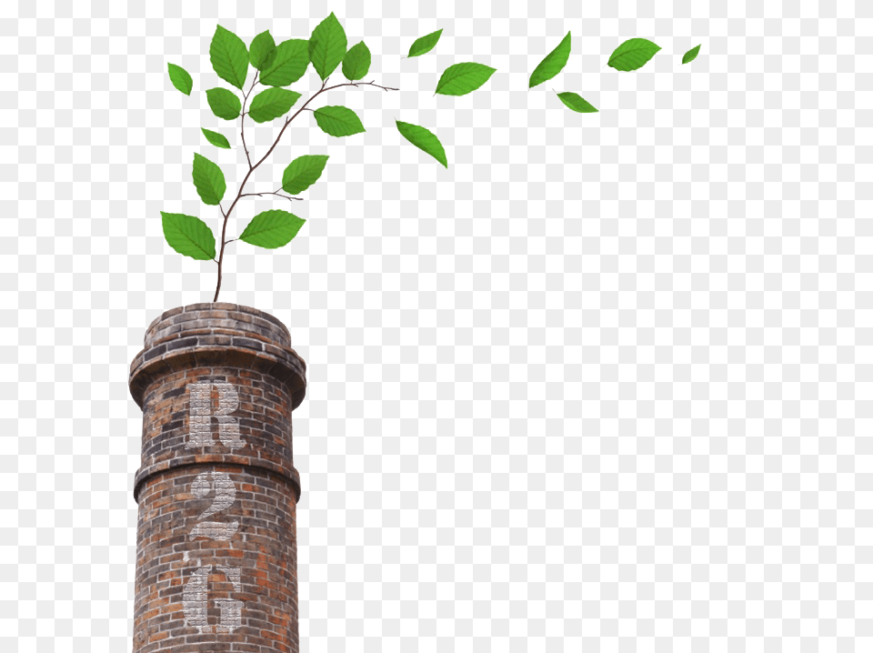 My Broken Down Upstate City January, Brick, Leaf, Plant, Potted Plant Free Png Download