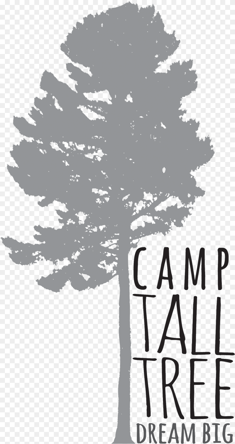 My Camps U2014 Scott Arizala Red Pine, Tree, Plant, Adult, Wedding Free Transparent Png