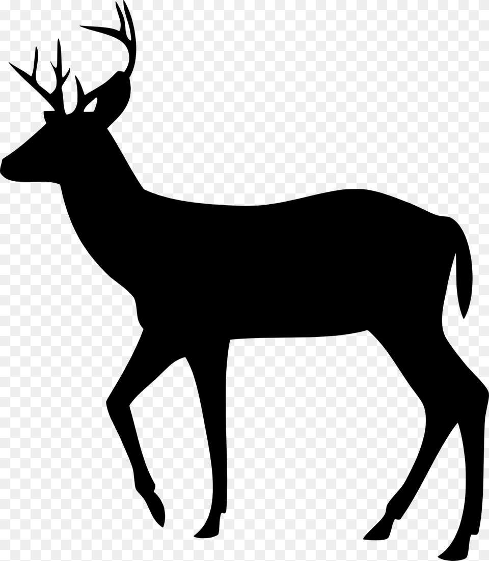 My Current Logo Is By The Way Walking Buck Deer Silhouette, Gray Free Png Download