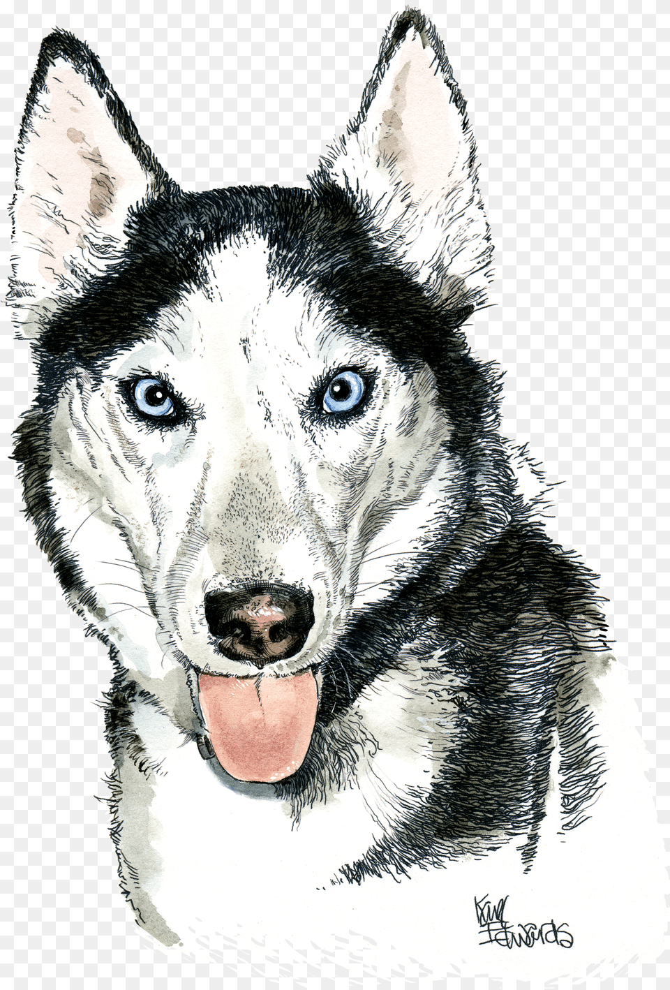 My Experience With Karl Edwards And His Brilliant Eye Sakhalin Husky Png Image