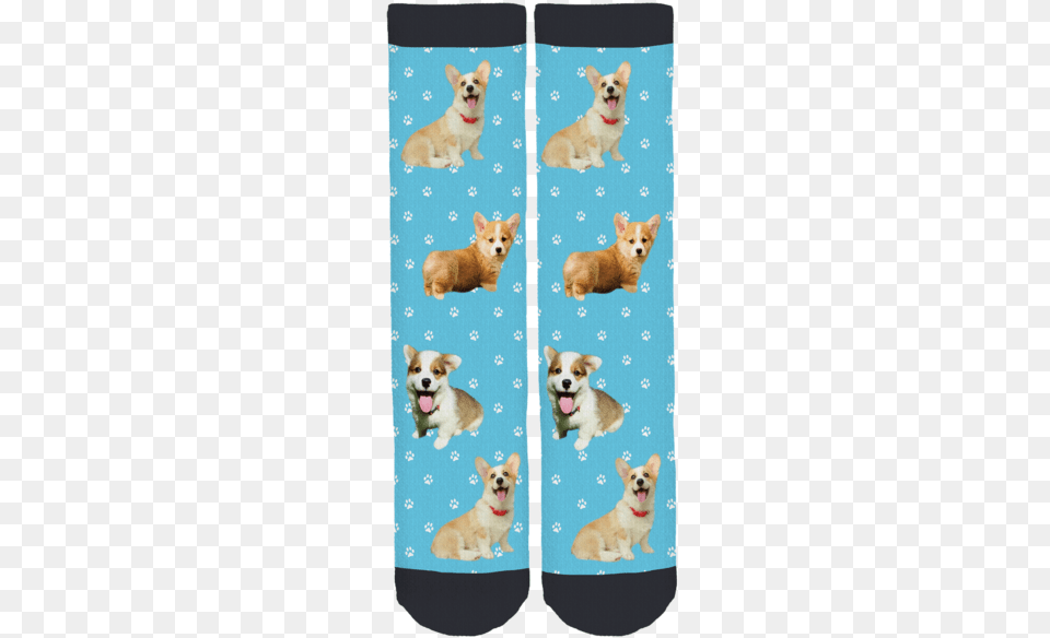 My Fav Corgi Crew Socks Rhea The Naked Birdie Socks, Animal, Canine, Dog, Mammal Png