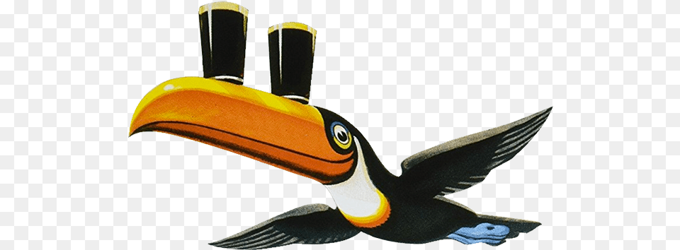 My First Experiment Using Google Web Lovely Day For A Guinness, Animal, Beak, Bird, Toucan Png