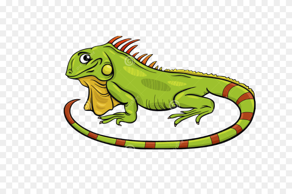 My First Storybook My Storybook, Animal, Iguana, Lizard, Reptile Png Image